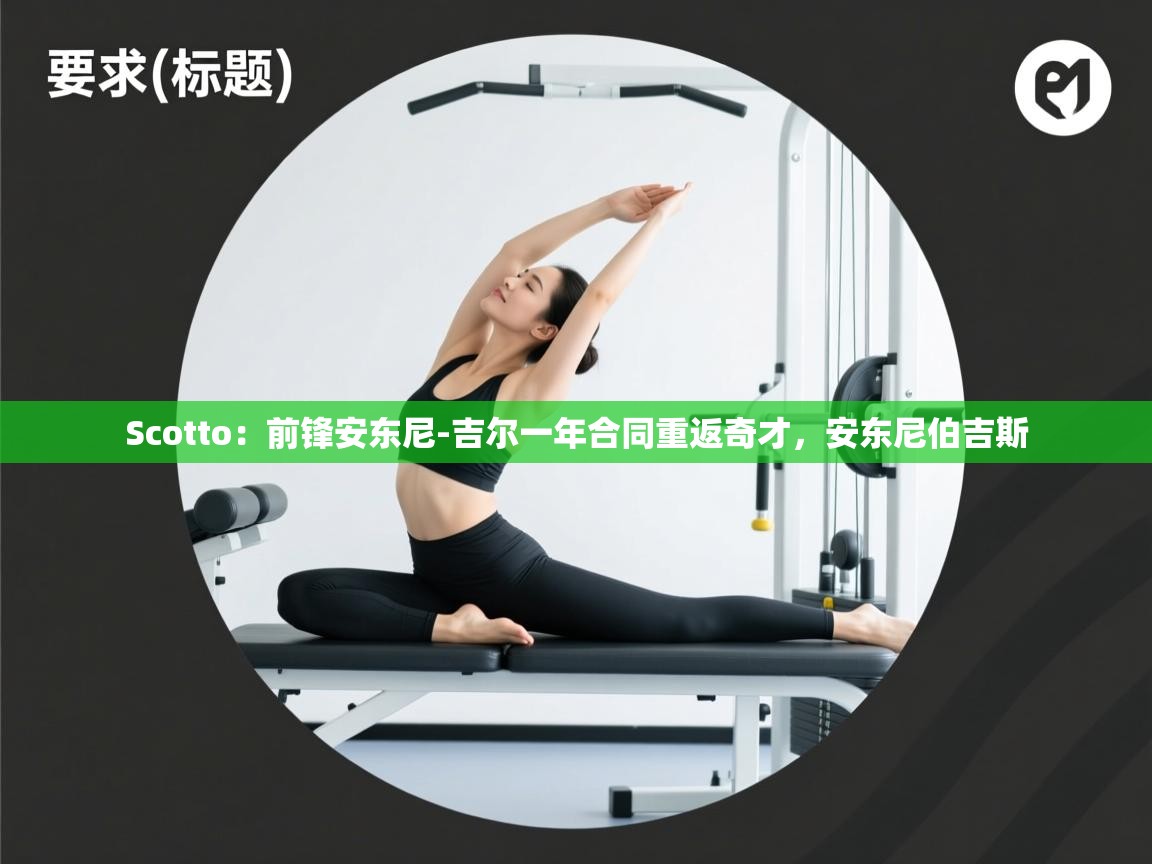 Scotto:前锋安东尼-吉尔一年合同重返奇才,安东尼伯吉斯 第2张