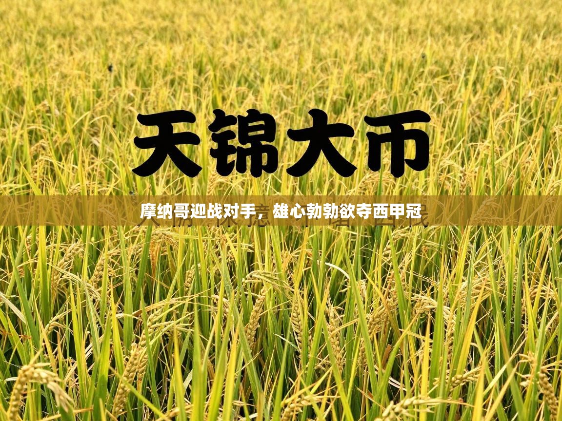 摩纳哥迎战对手，雄心勃勃欲夺西甲冠